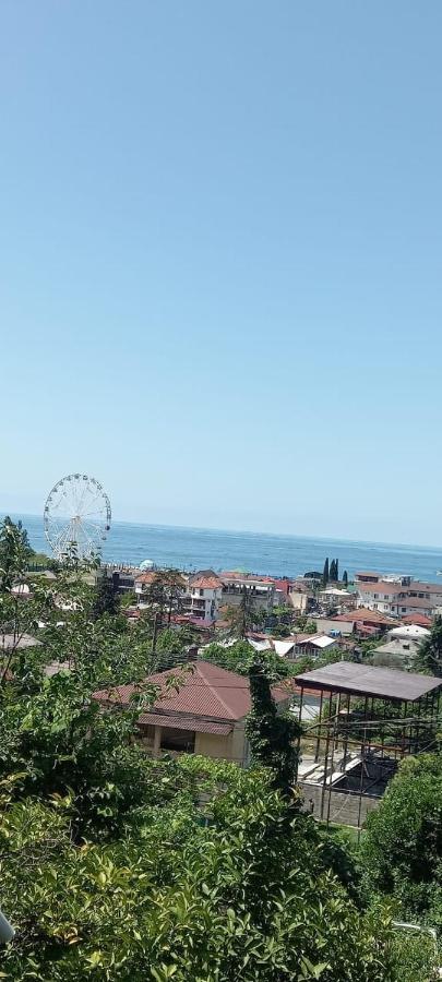 Гостевой Дом В Гагре Gagra Ruang foto